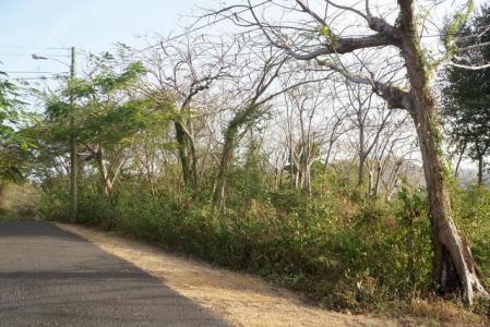 Westerhall Point - Lot No. 10, Westerhall Point, St.david's West Indies, Granada
