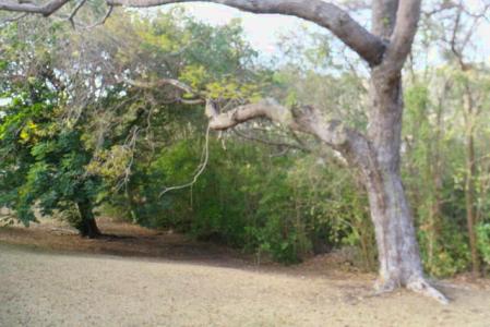 Westerhall Point - Lot No. 2, Westerhall Point, St.david's West Indies, グレナダ