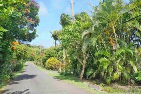 Westerhall Point - Lot No. 102, Westerhall Point, St.david's West Indies, グレナダ