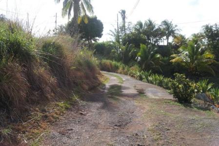 5,346 sq ft of land in Picard, Saint John, Dominica