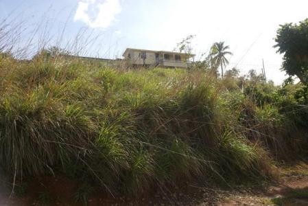 5,346 sq ft of land in Picard, Saint John, Dominica