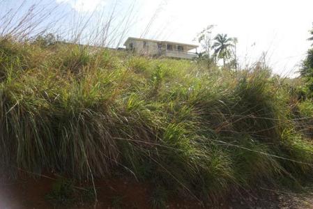 5,346 sq ft of land in Picard, Saint John, Dominica