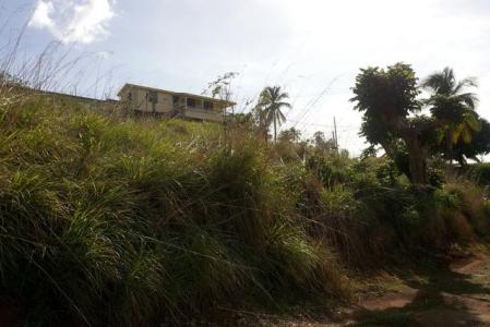 5,346 sq ft of land in Picard, Saint John, Dominica