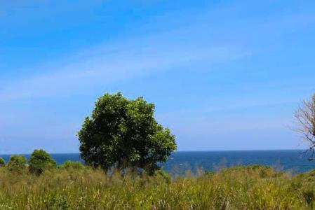 Fort Jeudy - Lot No. 36, Fort Jeudy, St.george's West Indies, Granada