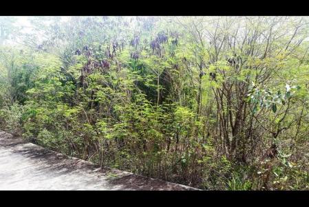 Point Marquis Development - Lot No. 63, Saint David's, St.david's West Indies, Grenada