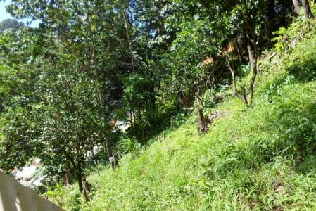 1.723 acres of Vacant land in Sylvania, Saint George, Dominica