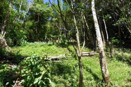 1.723 acres of Vacant land in Sylvania, Saint George, Dominica