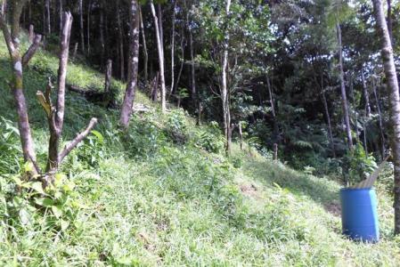 1.723 acres of Vacant land in Sylvania, Saint George, Dominica