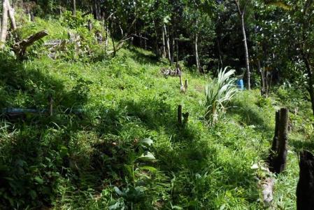 1.723 acres of Vacant land in Sylvania, Saint George, Dominica