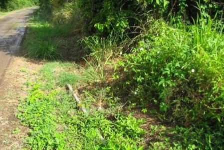 La Sagesse Heights - Lot No. 32, La Sagesse, St.david's West Indies, Grenada