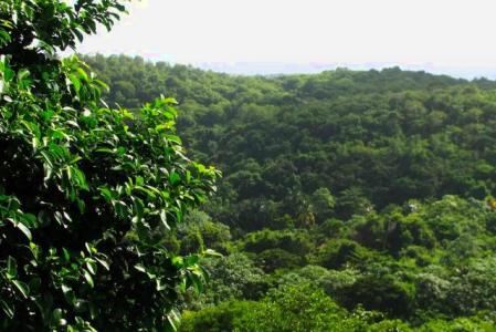 La Sagesse Heights - Lot No. 32, La Sagesse, St.david's West Indies, Grenada