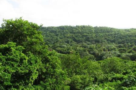 La Sagesse Heights - Lot No. 29, La Sagesse, St.david's West Indies, Granada