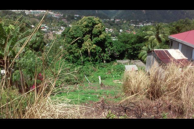 18,665 Square Feet of Land in Grand Coulibri, Grandbay, Saint Patrick, Dominica