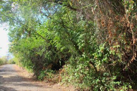 Fort Jeudy - Lot No. 87, Fort Jeudy, St.george's West Indies, Grenada