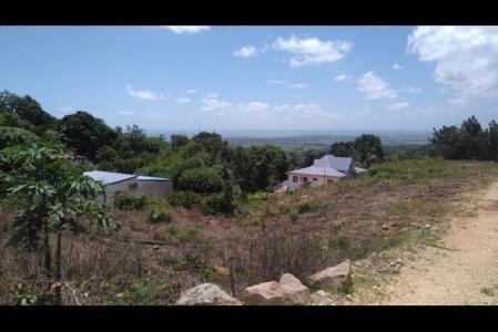 SAINTE ROSE - Sofaia, Duzer, Sainte-rose 97115, Guadalupe