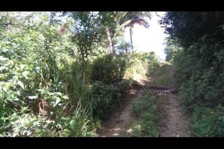 SAINTE ROSE - Sofaia, Duzer, Sainte-rose 97115, グアドループ