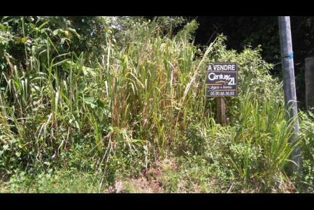 SAINTE ROSE - Sofaia, Duzer, Sainte-rose 97115, グアドループ