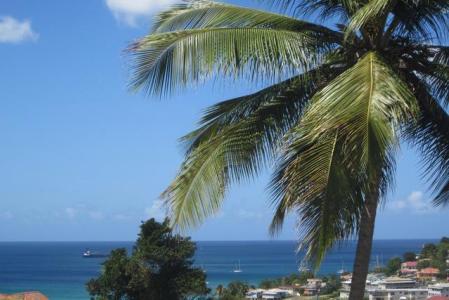 Fenton Village, Grand Anse, St.george's West Indies, Grenada