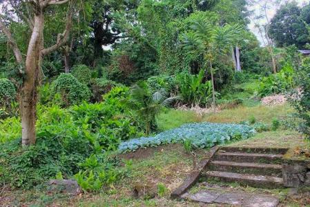 Annandale Estate, Saint George, St.george's West Indies, Granada