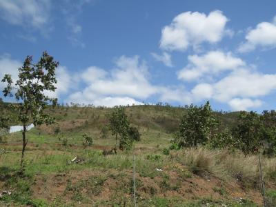 Gerehu, National Capital District, 土耳其