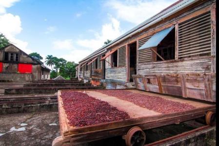 Douglaston Spice Estate, Gouyave, St.john's West Indies, Grenada