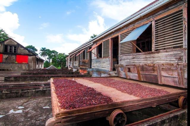 Douglaston Spice Estate, Gouyave, St.john's West Indies, Grenada
