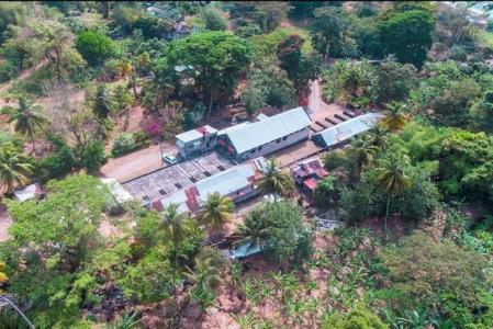 Douglaston Spice Estate, Gouyave, St.john's West Indies, Grenada