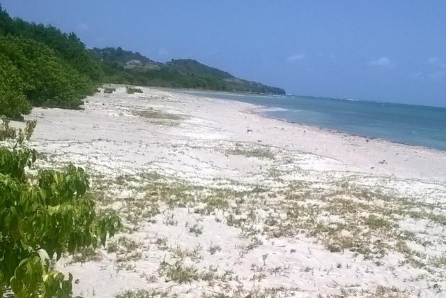 Mangineel Beachfront Lot, Hermitage, St.george's West Indies, גרנדה 