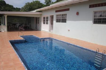 Ladyslipper, Egmont, St.george's West Indies, Grenada