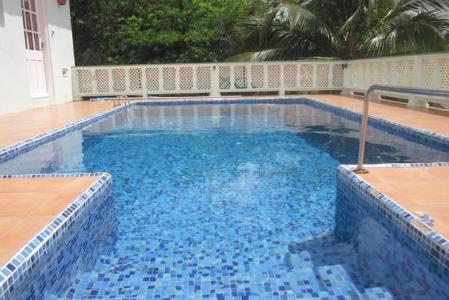 Ladyslipper, Egmont, St.george's West Indies, Grenada