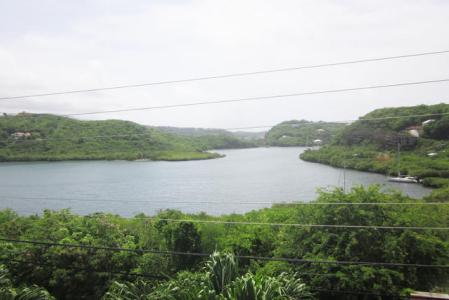 Ladyslipper, Egmont, St.george's West Indies, Grenada