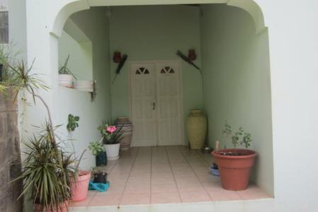 Ladyslipper, Egmont, St.george's West Indies, Grenada