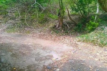 Prospect Lot, Prospect, St.patrick's West Indies, Grenada