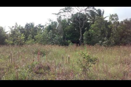 Two bedroom House in Cuba Road, Mero, Saint Joseph, Dominica