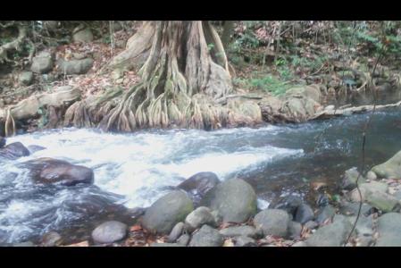 10 Acres of Land in Calibishie, Saint Andrew, Dominica