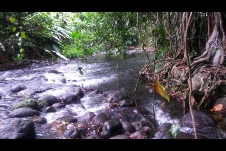 10 Acres of Land in Calibishie, Saint Andrew, 도미니카