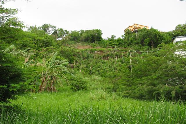 Mt. Hartman Lot, Grand Anse, St.george's West Indies, Granada