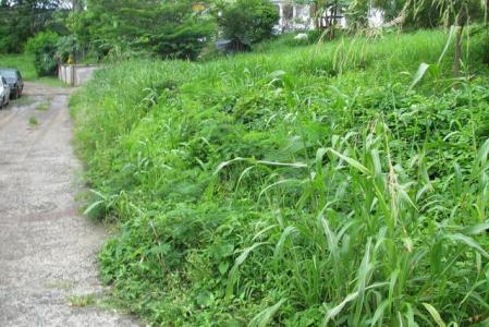 Mt. Hartman Lot, Grand Anse, St.george's West Indies, Granada