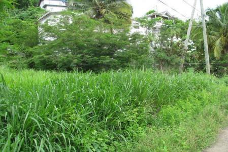 Mt. Hartman Lot, Grand Anse, St.george's West Indies, Granada