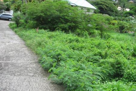 Mt. Hartman Lot, Grand Anse, St.george's West Indies, Granada