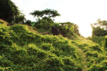 Green Rock, Grand Anse, St.george's West Indies, Granada