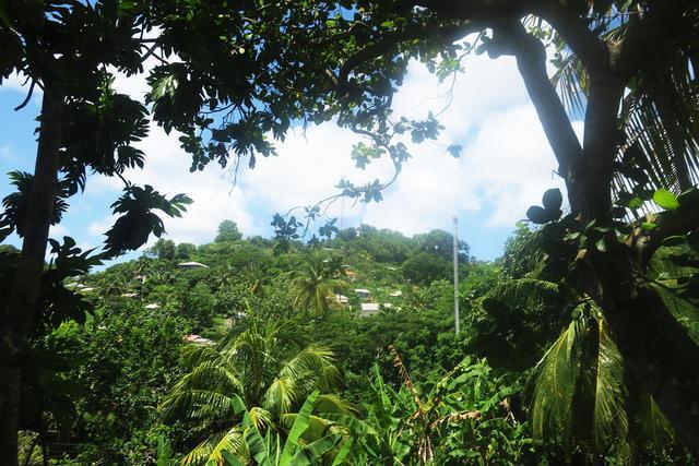 Chaussee Lot, La Sagesse, St.david's West Indies, Grenada