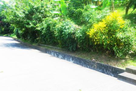 Chaussee Lot, La Sagesse, St.david's West Indies, Grenada