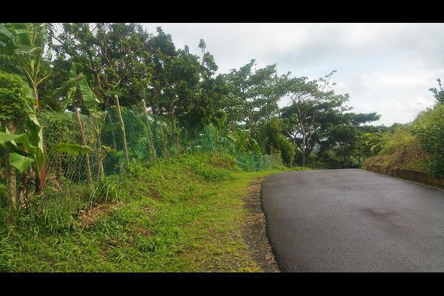 Plaisance Estate, Hermitage, St.patrick's West Indies, Granada