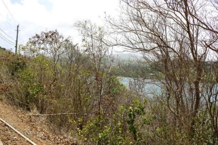 Egmont - Lot No. 164, Egmont, St.george's West Indies, Grenada