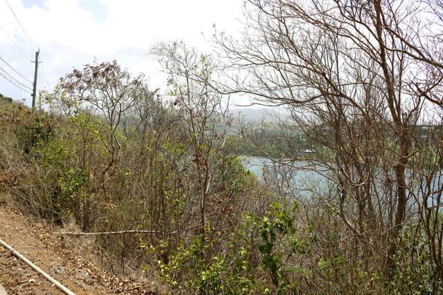 Egmont - Lot No. 164, Egmont, St.george's West Indies, 格林納達