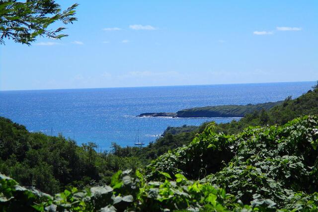 La Chausseur, La Sagesse, St.david's West Indies, Grenada