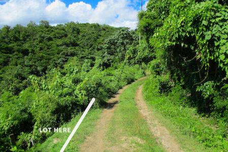 La Chausseur, La Sagesse, St.david's West Indies, Grenada