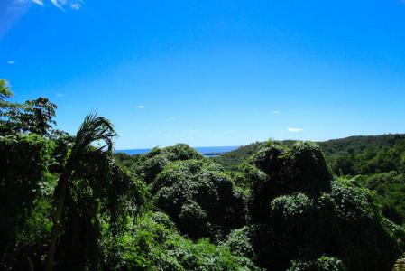 La Chausseur, La Sagesse, St.david's West Indies, Grenada