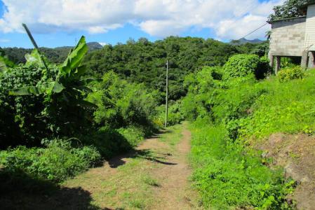 La Chausseur, La Sagesse, St.david's West Indies, Grenada